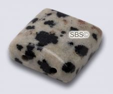 Dalmation Jasper 10x10 2-Hole Gemstone Beads (12)