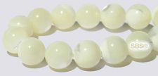 Mother of Pearl Beads - 8mm Round White