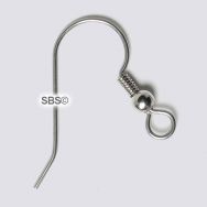 French Ear Wires - Surgical Steel (12 pair)